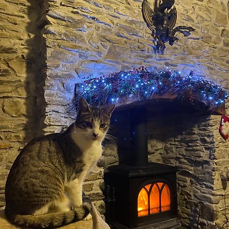 Pumpsaint Five Saints Farmhouse B&B المظهر الخارجي الصورة