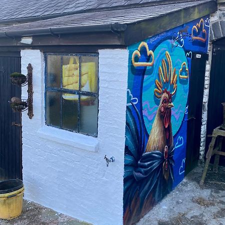 Pumpsaint Five Saints Farmhouse B&B المظهر الخارجي الصورة