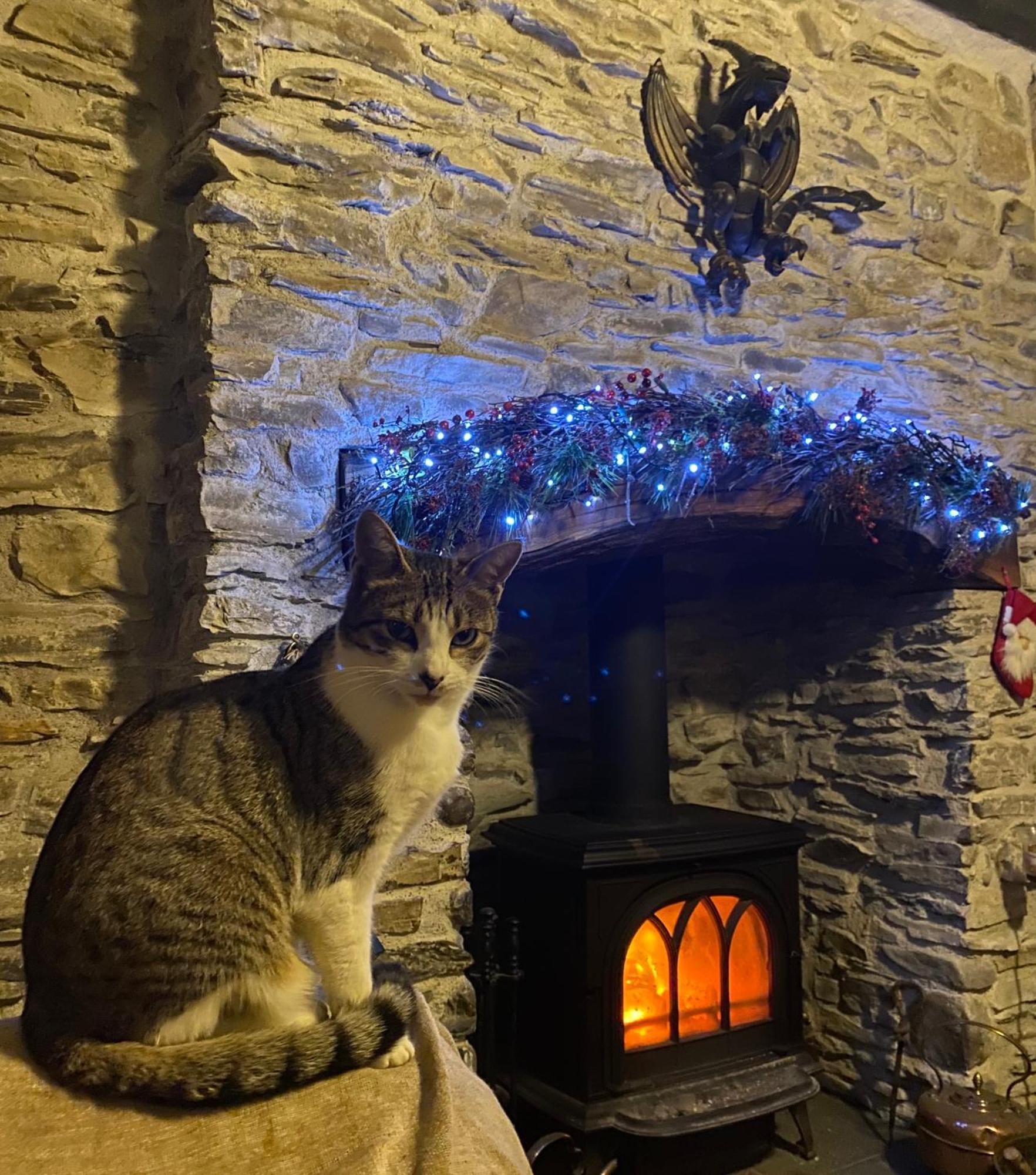 Pumpsaint Five Saints Farmhouse B&B المظهر الخارجي الصورة