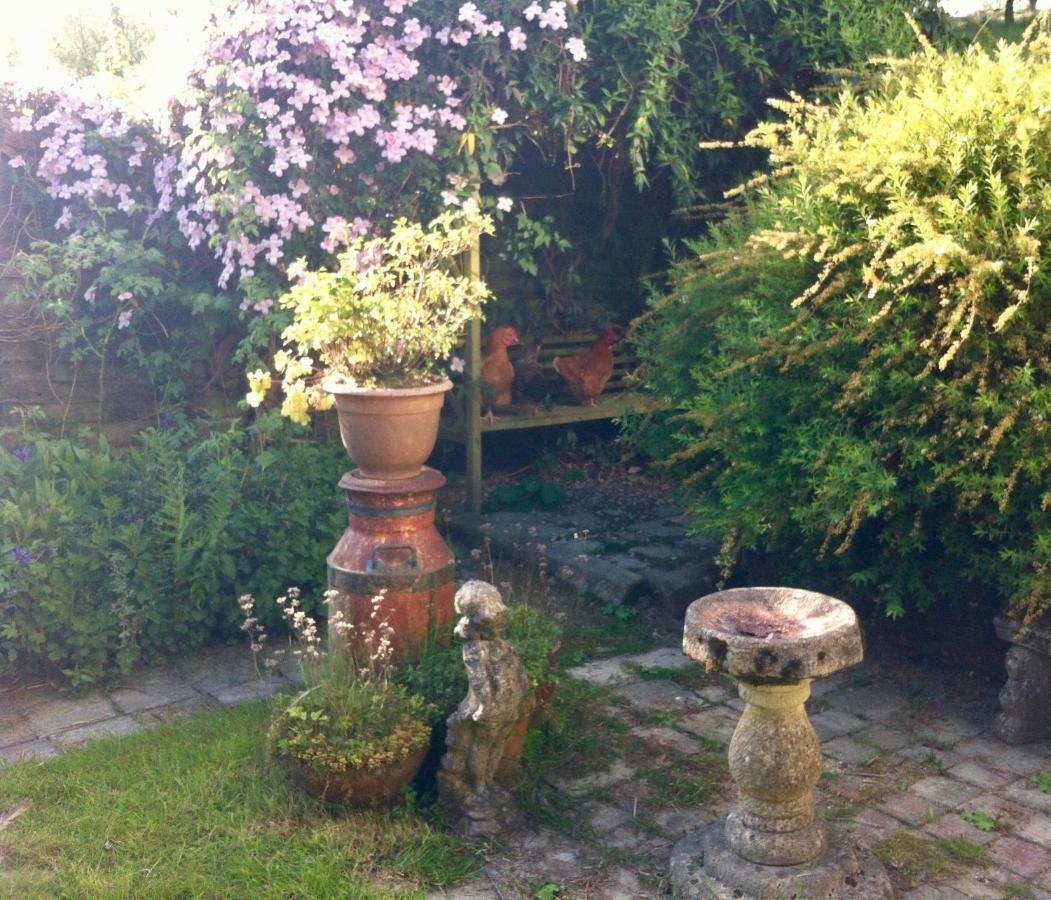 Pumpsaint Five Saints Farmhouse B&B المظهر الخارجي الصورة